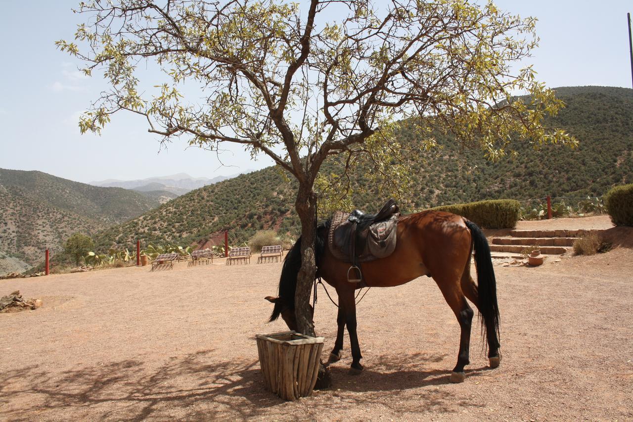Terres D'Amanar Hotel ทาฮันเนาท์ ภายนอก รูปภาพ