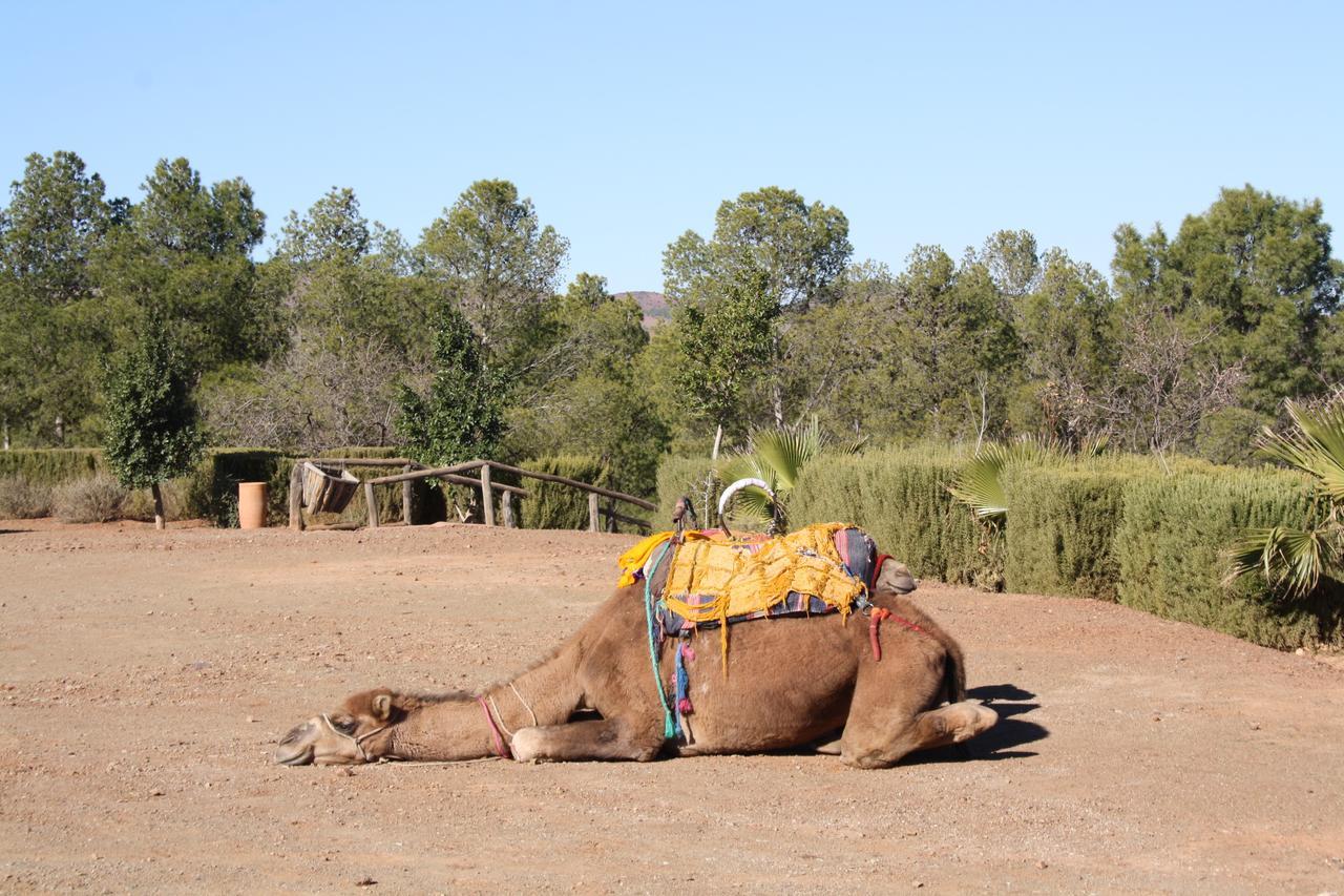 Terres D'Amanar Hotel ทาฮันเนาท์ ภายนอก รูปภาพ